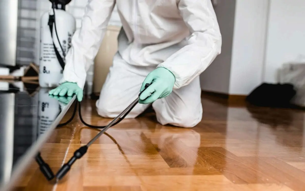 Pest control treatment